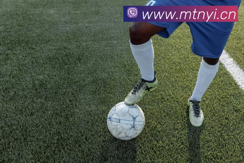 多媒体互动体验